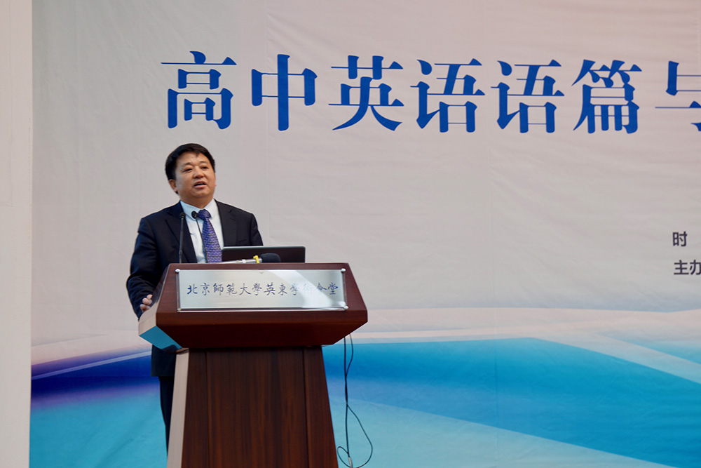 图4-苗兴伟教授发言